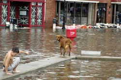 Flooding on City Dock, Annapolis, Md. (Photo by Liz Roll / Courtesy FEMA)