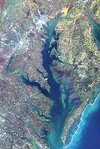 Chesapeake Bay from space (Image courtesy NASA)