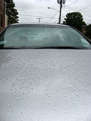 The first signs of Friday's rain / Newsline photo by David Byers