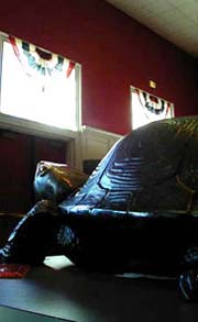 Testudo keeps watch over Cole's entrance.