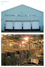 The Marlboro Tobacco Market is full of bails of tobacco.