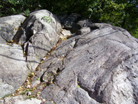 Schist rock formations/ Newsline photo by Kelly Martini
