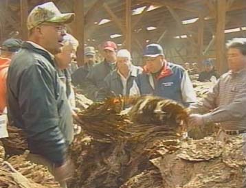 The 2004 tobacco auction in Hughesville, Md. / CNS-TV photo